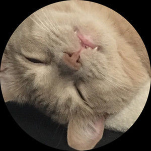 Meet your Posher, Shawn